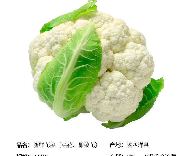 新鲜菜花批发56斤当季农家自种花椰菜蔬菜白菜花