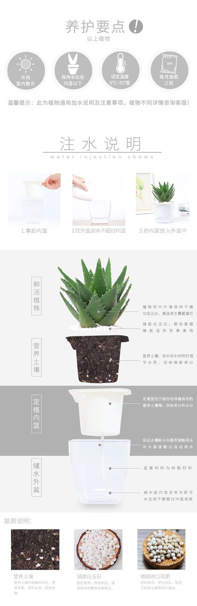 符象园艺用品芦荟办公室盆栽客厅阳台芦荟植物室内花绿植净化空气绿色植物盆栽人参榕 透明中方盆带盆栽好 价格图片品牌报价 苏宁易购乾鼎园艺专营店