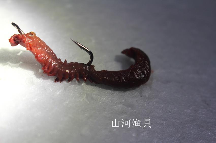 腌制沙蚕活沙蚕蜜制海蜈蚣海蚯蚓矶钓海饵恋钩好保存携带腌制沙蚕活