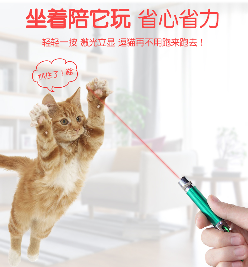 猫玩具激光逗猫棒逗猫激光笔红外线猫咪玩具雷射笔usb充电猫用品