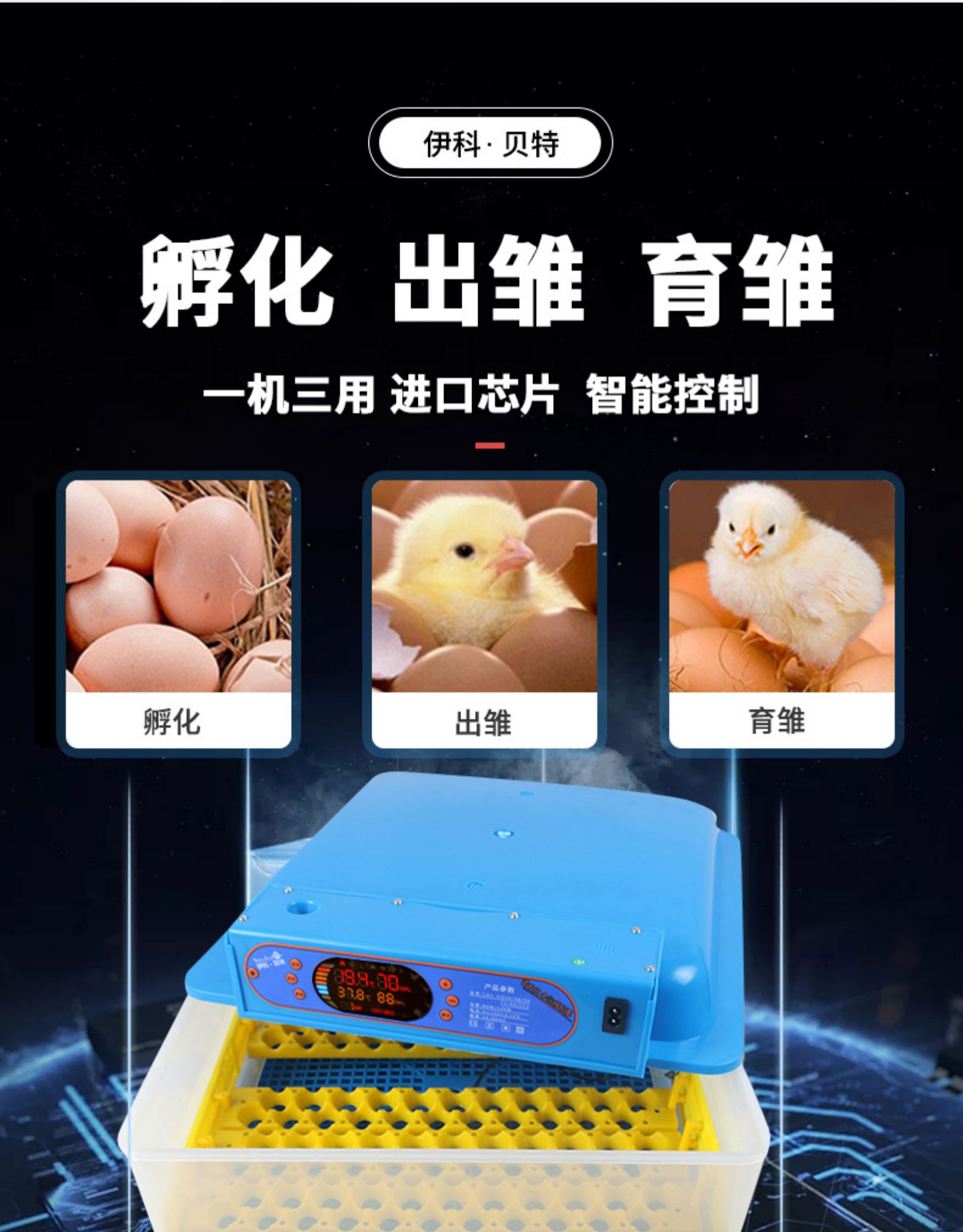 全自动家用型孵化机小鸡孵化设备小型孵化器鸡蛋孵蛋器鸟蛋孵化箱 20