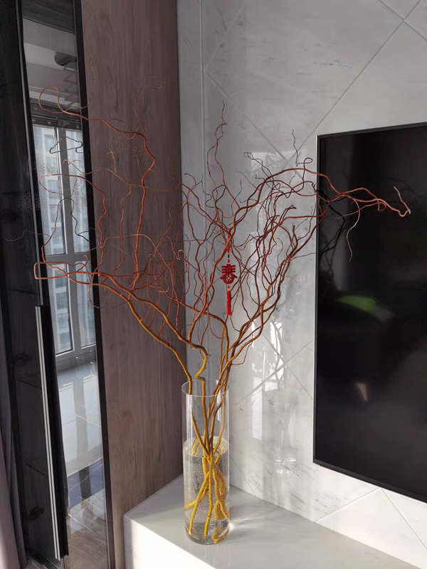 龙柳花家庭客厅场所摆设艺术造型装饰摄影背景干树枝云南直发鲜枝