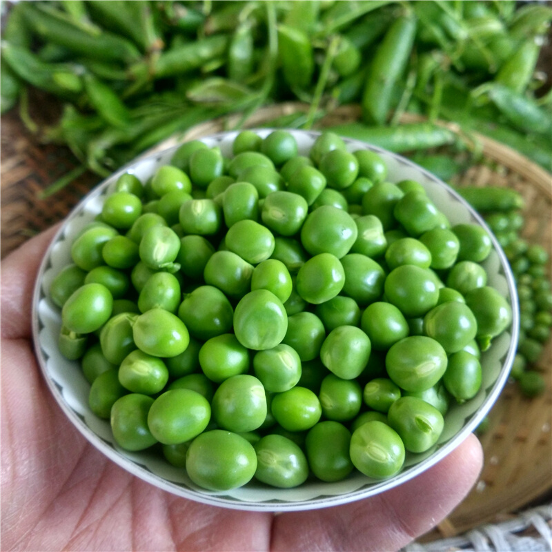德庄(morals village)坚果 新鲜豌豆带壳嫩青豆荚甜豆生鲜蔬菜 2.
