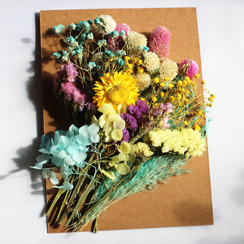 干花永生花混搭花材材料包幼儿园手工diy作业滴胶压花贴画装饰