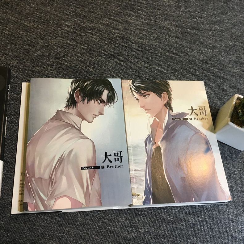 正版 大哥小说 上下册全套2册 priest p大正版番外篇完整版晋江文学