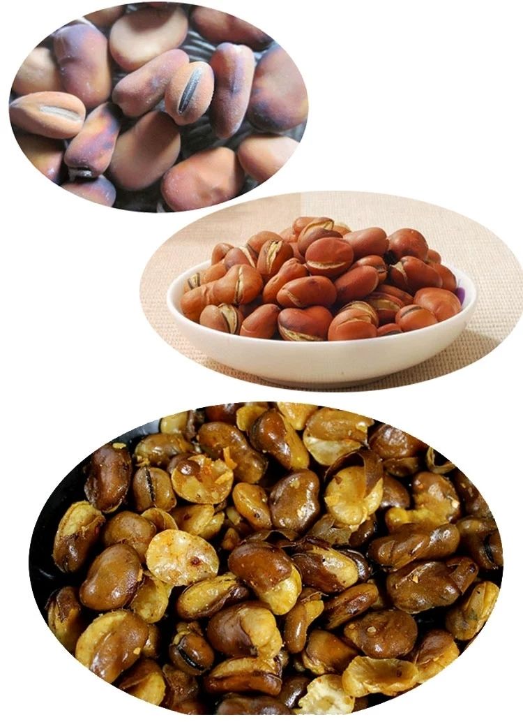 新货云南干蚕豆干货五谷杂粮生蚕豆白皮豆5斤10斤农家生蚕豆5斤装