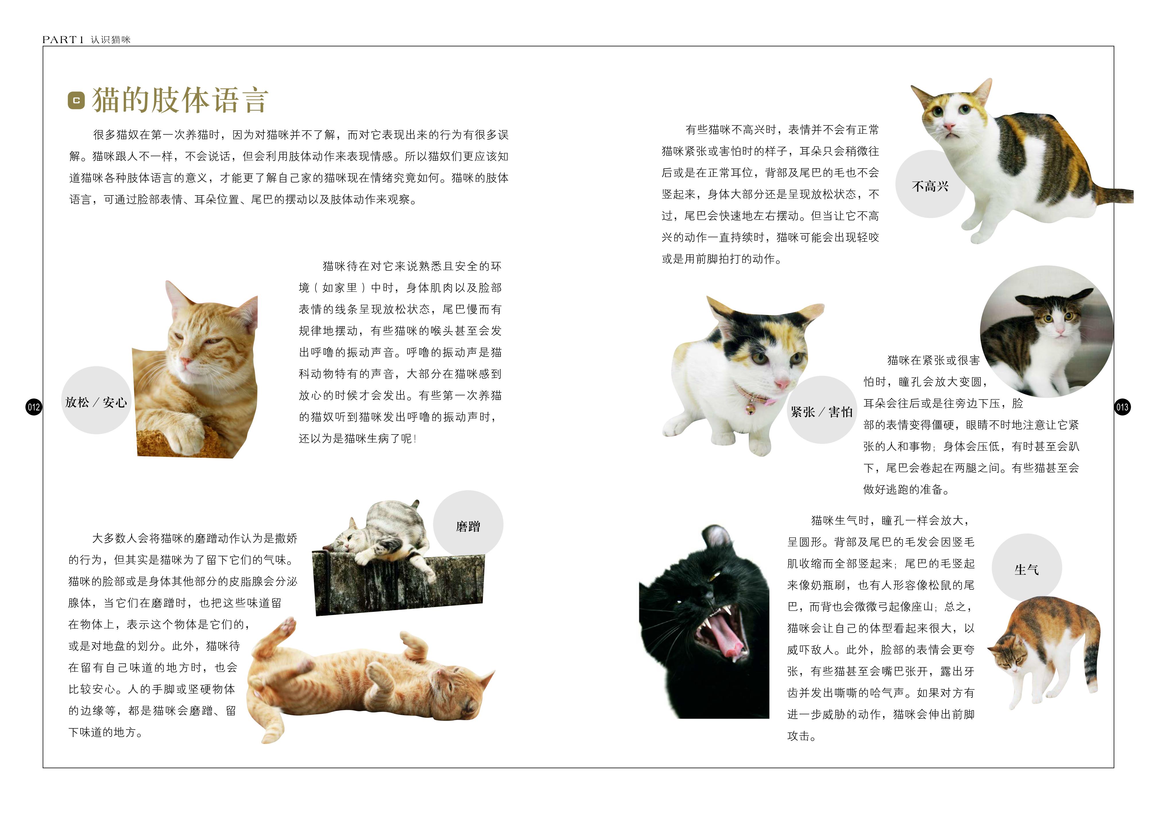 正版猫咪家庭医学大百科爱猫养护实用手册指南养猫的书籍宠物养猫百科