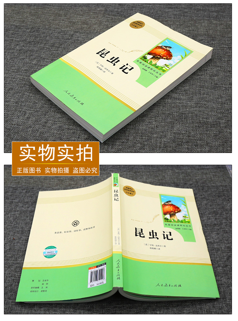 【顏系圖書】昆蟲記法布爾正版原著人民教育出版社文學名著人教版初中