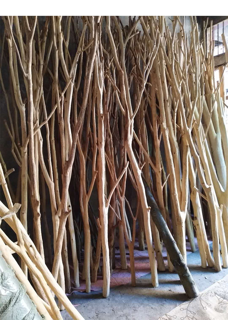 天然实木带杈造型干树枝白树枝花瓶干花客厅玄关橱窗摆件装饰树枝 封