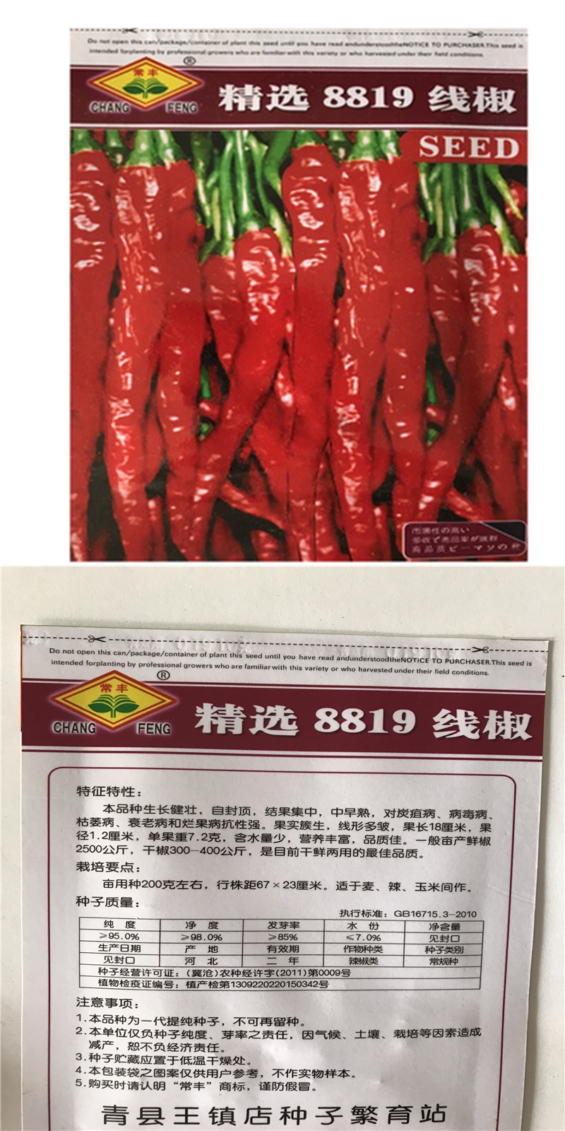 精选8819线椒种子籽辣椒精选四季盆栽阳台高产园艺农家蔬菜种孑时田