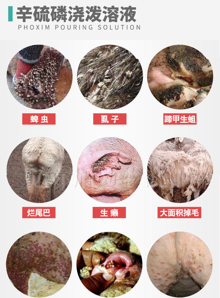 除癞灵溶液狗狗宠物外用螨虫蜱虫虱子跳蚤皮癣真菌体外驱虫除赖灵除癞