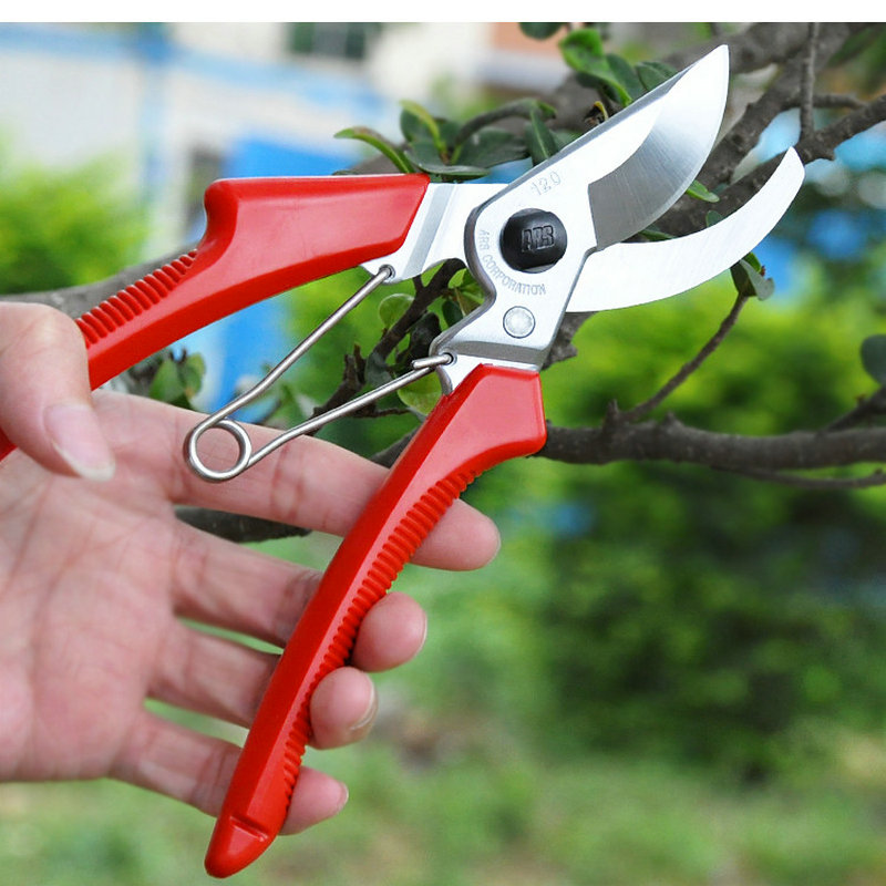 日本爱丽斯果树修枝剪手剪整枝剪园艺工具剪树枝剪刀粗枝修花剪