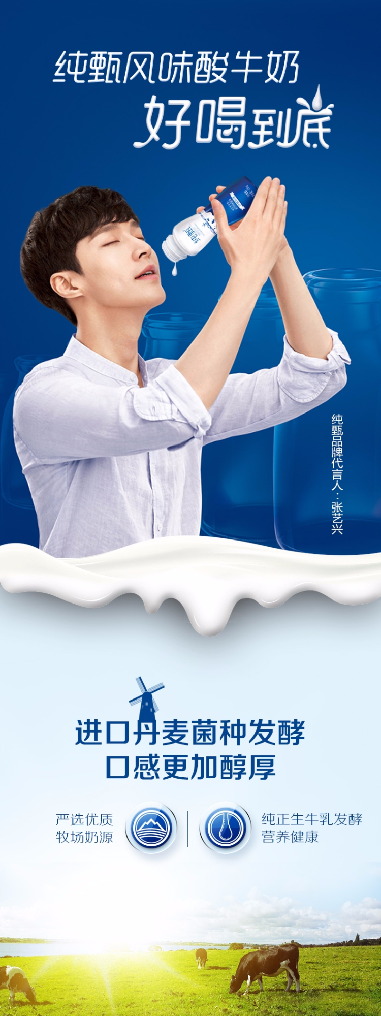 蒙牛纯甄小蛮腰酸奶经典原味酸牛奶高端轻酪乳风味奶230g10瓶常温奶新