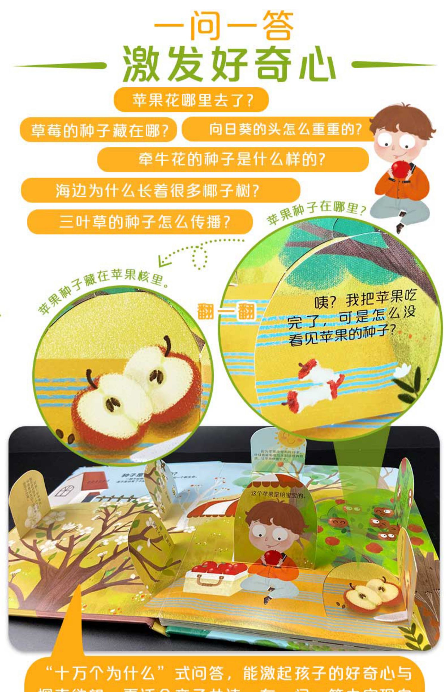 [颜系图书][呦呦童正版]揭秘种子植物立体翻翻书你问我答系列低幼版3