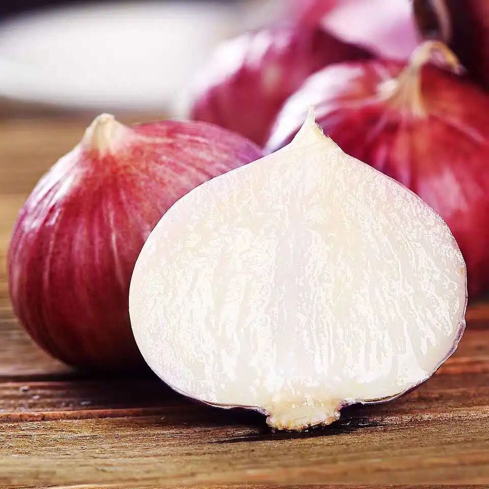 湛航 农家紫皮独头大蒜新货独头蒜紫蒜红皮大蒜头干紫皮独蒜带箱香蒜