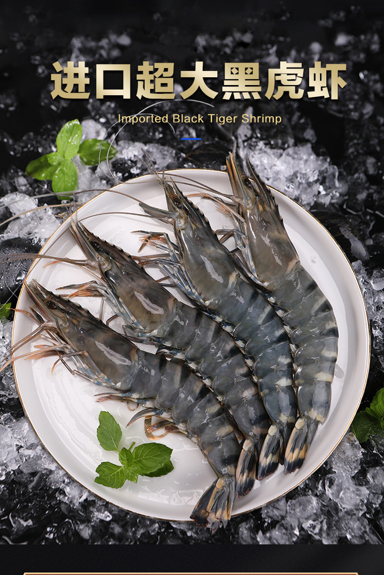 顺丰直发活冻黑虎虾进口大虾净虾
