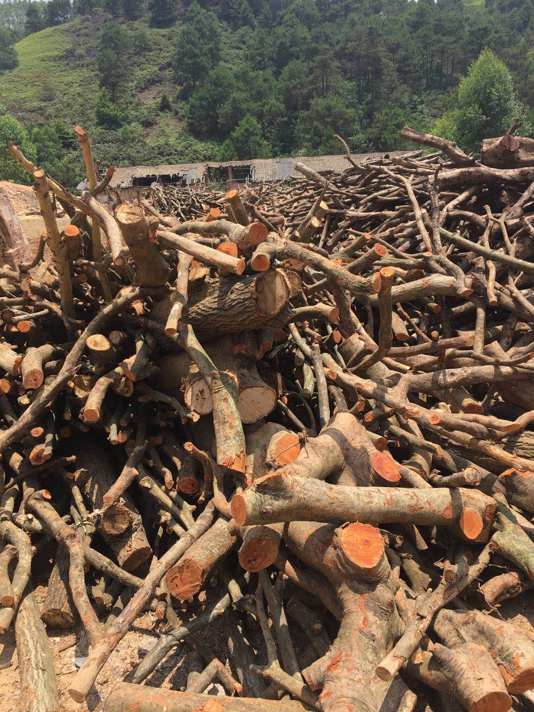 多规格烧烤炭实木荔枝龙眼碳无烟耐烧环保木碳高温易燃烤炉炭5斤果