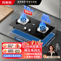 万家乐[双高火C2R1]燃气灶立式全进风灶具 5.0kw大火力台嵌两用换新 液化气