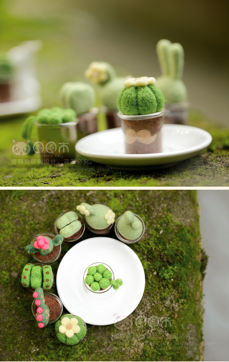 多肉植物羊毛毡戳戳乐材料包迷你小盆栽绿植diy手工新手8个全套送工具