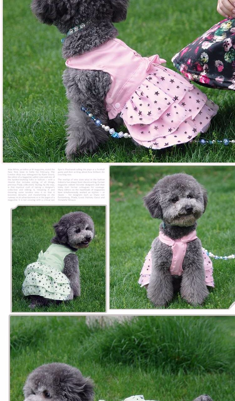 《狗狗裙子夏季宠物衣服小狗背心春秋装薄款泰迪小型犬幼犬公主裙夏