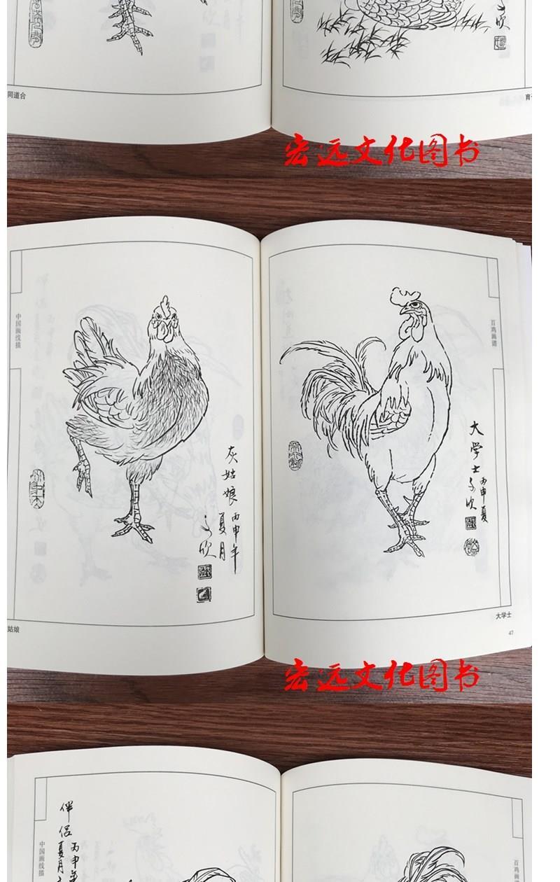 中国画线描百鸡画谱 线描白描底稿技法国画工笔画花鸟翎毛画谱 中国画