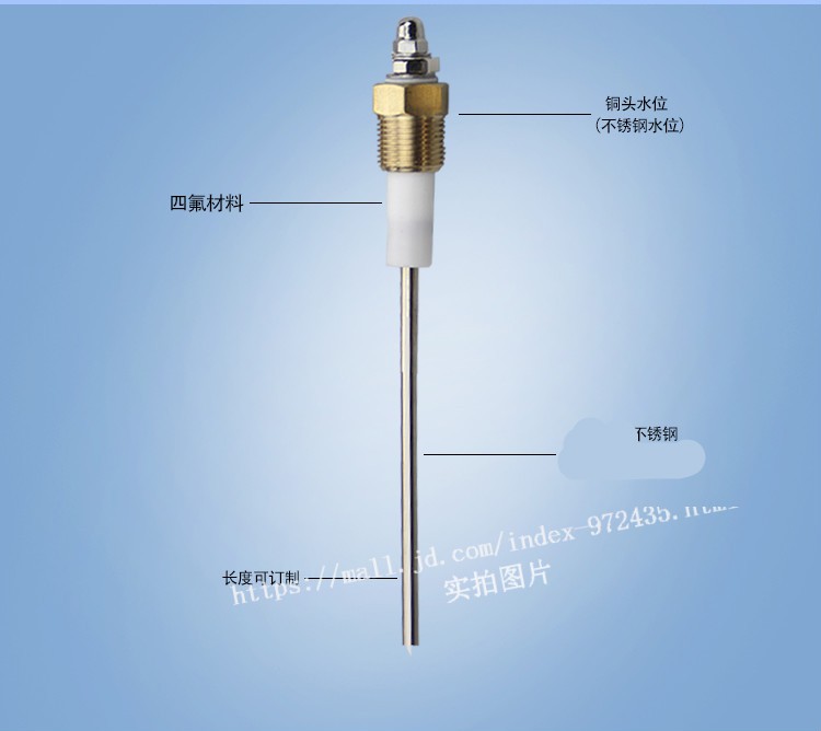 定做出售锅炉水位水位探针水位探头水位定制非标不锈钢螺纹双极g1寸牙