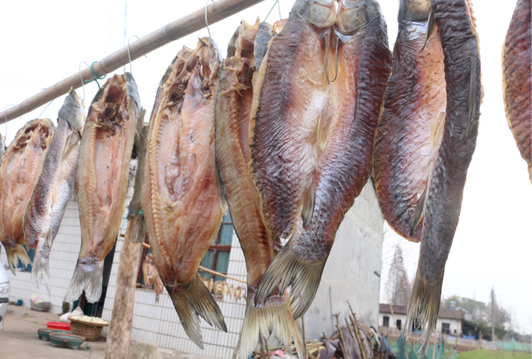 1000g 湖北特产农家自制干鱼干货腊鱼块风干草鱼块阳干鱼咸鱼块干鱼