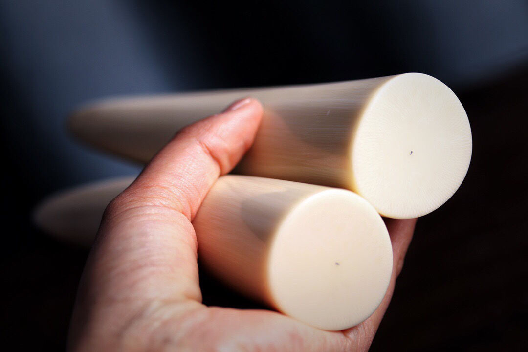 保真天然猛犸象牙摆件乳牙尖素牙雕刻摆件办公室文玩牙雕工艺饰品直播