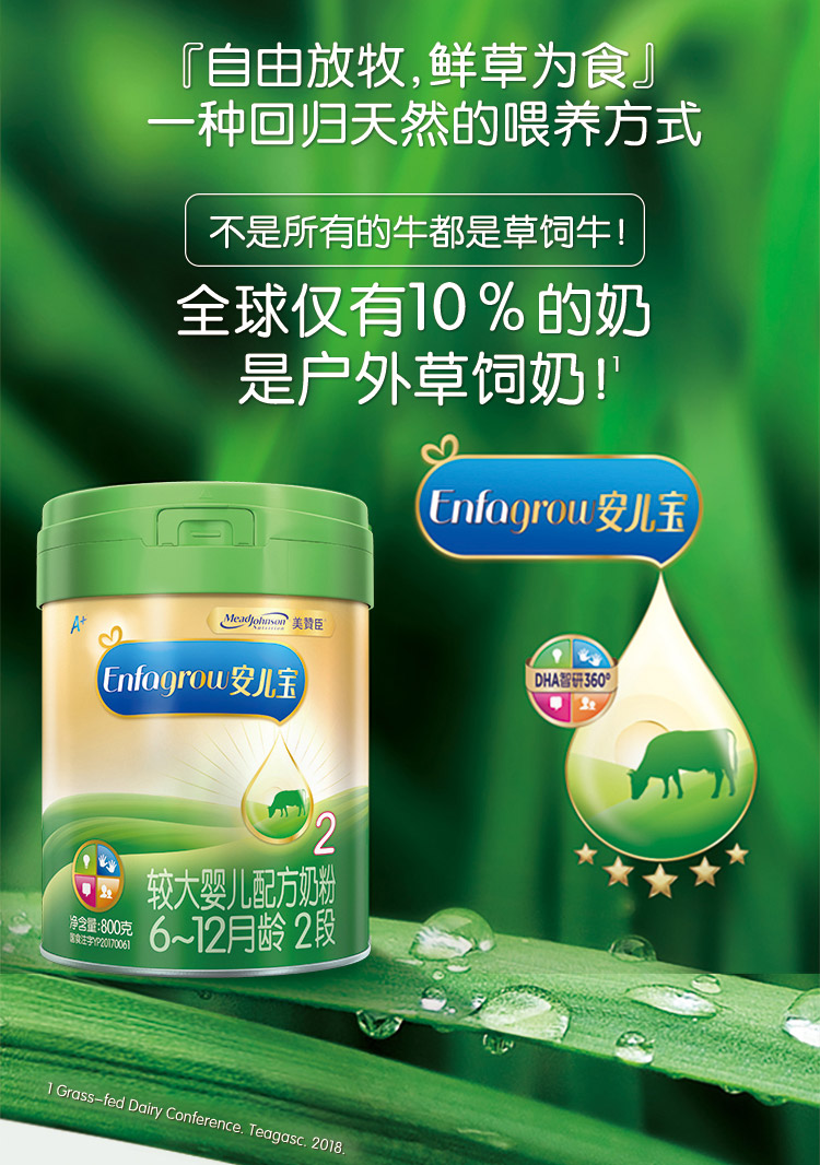 2罐装美赞臣五星草饲安儿宝婴儿配方奶粉2段612个月750g
