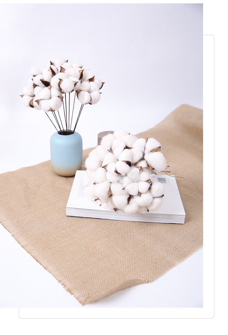 干棉花真棉花头干花树枝永生花diy花束摆件蛋糕装饰圣诞配饰 fenghou