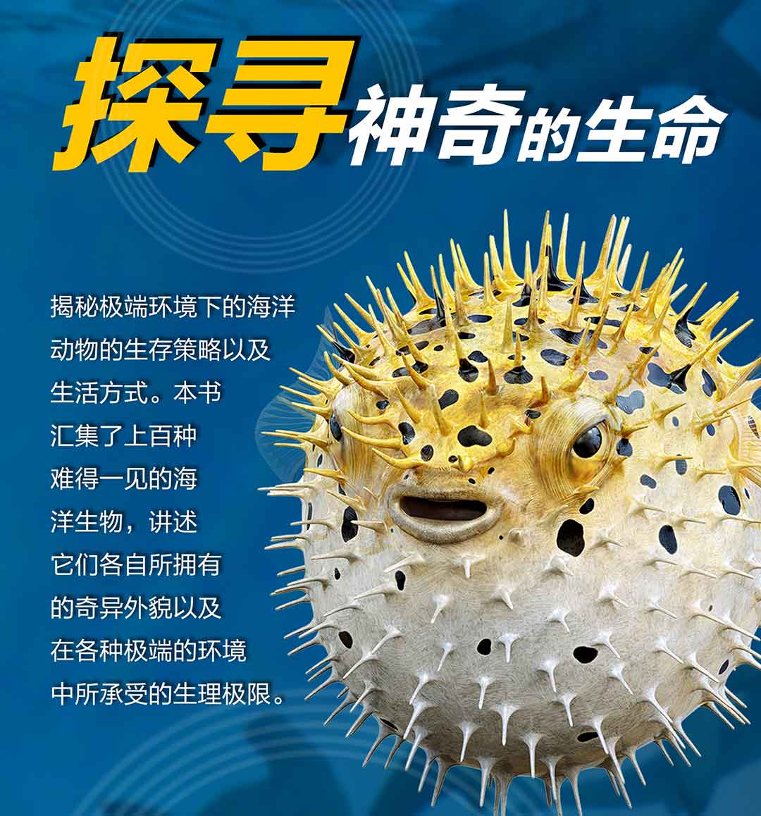 dk儿童极限百科全书鲨鱼极限揭秘海洋生物海底世界鲨鱼6-8-10-12-15岁