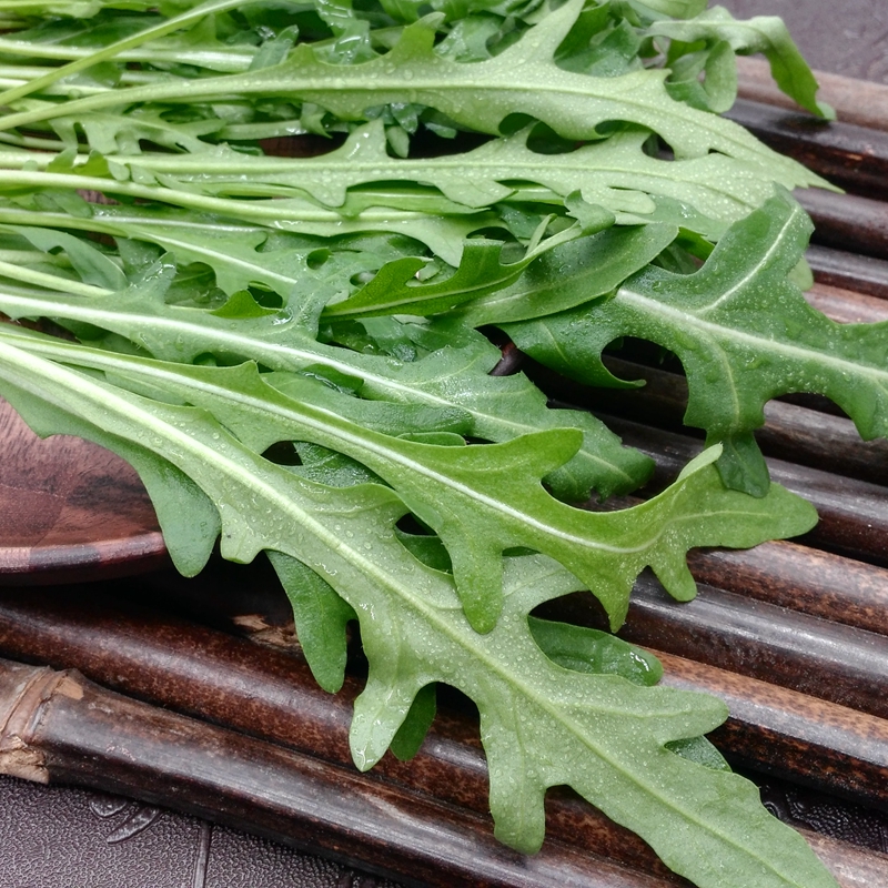 芝麻菜250g新鲜蔬菜菜沙拉菜西餐生菜日天生鲜可开发票