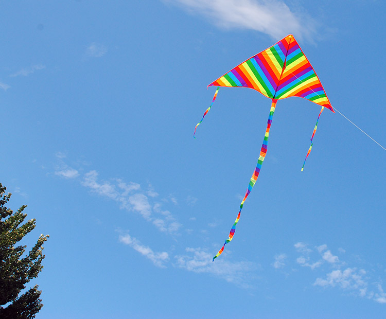 5黑头彩虹风筝  100米线板【价格 图片 品牌 报价】-苏宁