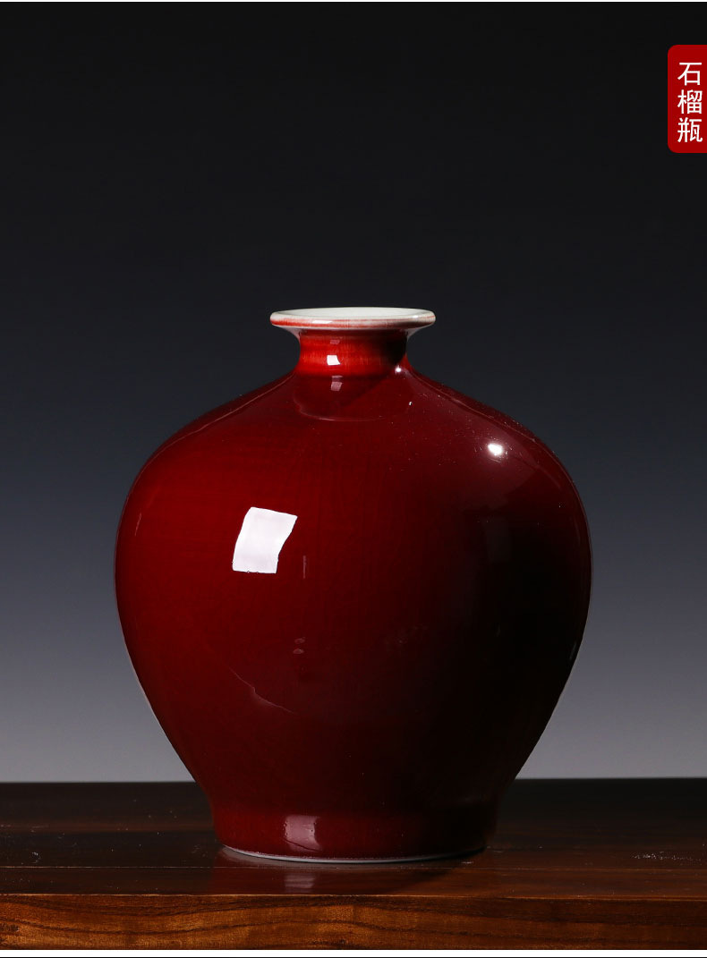 陶瓷器郎红花瓶插花摆件新中式家居客厅柜子装饰品摆设瓷瓶