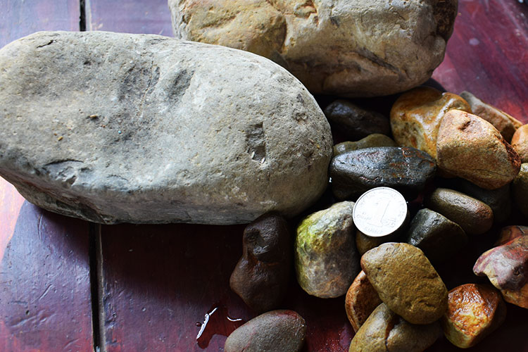 园艺盆景大石头水培养花鱼缸庭院造景地垫小石头5斤约650粒13cm小