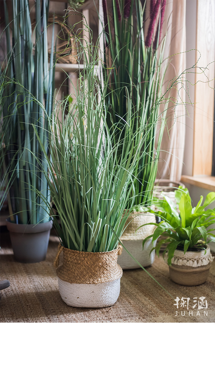 洋葱盆景大型仿真植物绿植仿真树装饰摆件陈列布景道具 f臾金子葱草