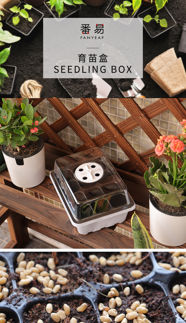 番易 育苗盒育苗盘种子盆种植多肉蔬菜草莓辣椒玉米营养育种器托