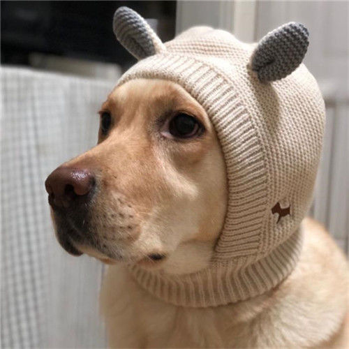 绿色青蛙发箍宠物帽子狗帽子大狗帽子大型犬帽子毛线保暖拉布拉多金毛