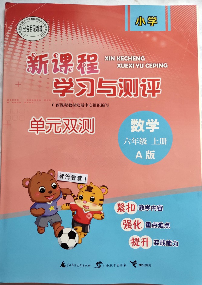 质量保证2019年新课程学习与测评单元双测数学六年级上册a版配人教版