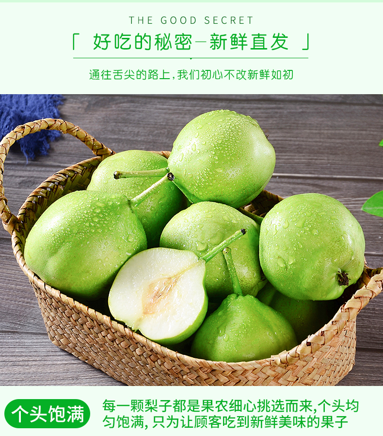 【熊猫鸟】新鲜当季水果 青脆甜香酥雪梨 4.5—5斤 整箱发货