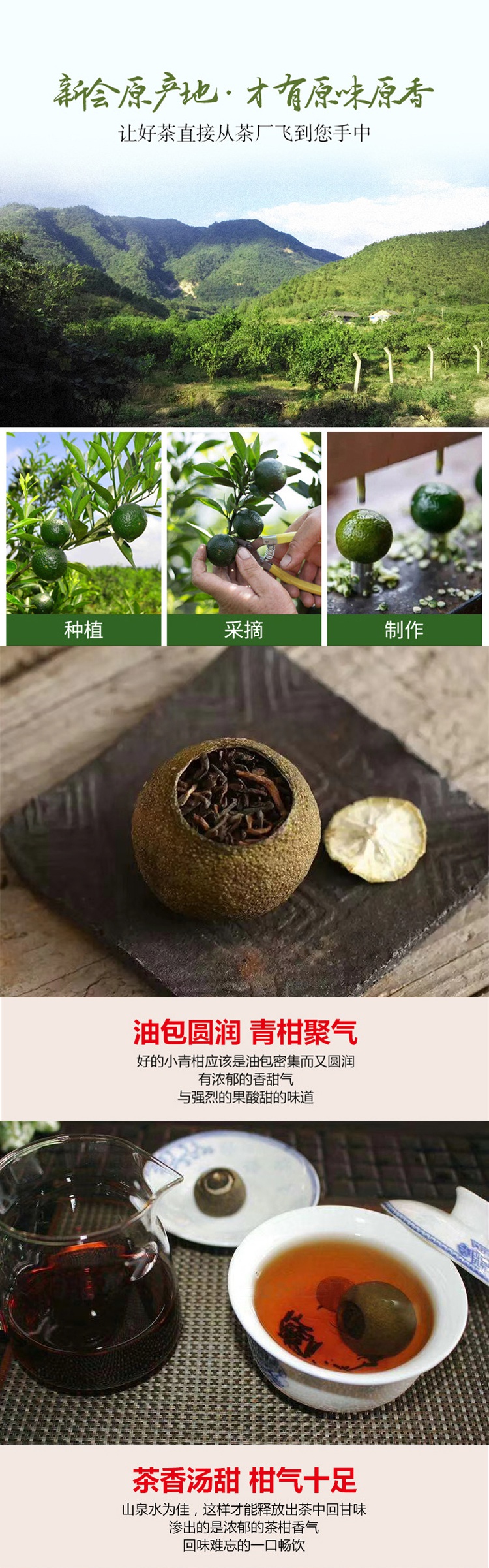 正宗天馬特產青柑0年普洱茶特級吉普茶柑普茶桔子茶禮盒