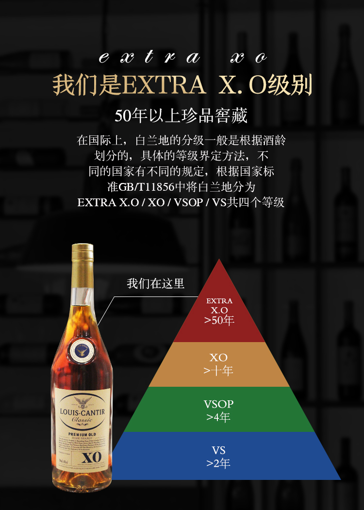 2瓶法国进口路易康帝louiscantir经典xo白兰地700ml1瓶