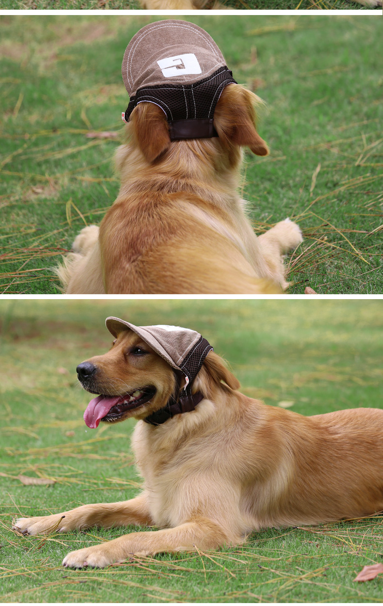 咖啡色s中型犬大型犬棒球帽子金毛哈士奇萨摩耶阿拉斯加宠物大狗狗