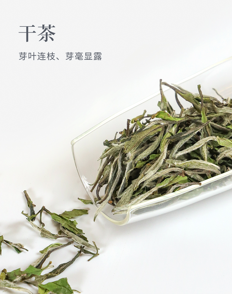 赛卡伊白茶 福鼎白茶新茶头采白牡丹散茶25g*2罐装福建茶叶【价格