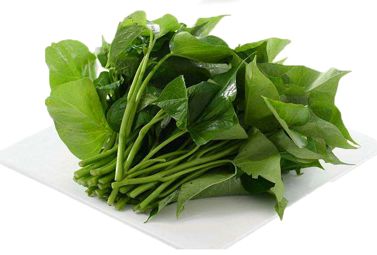 红薯叶嫩尖新鲜3斤叶尖河南特产自种蔬菜地瓜番薯叶新鲜可开发票