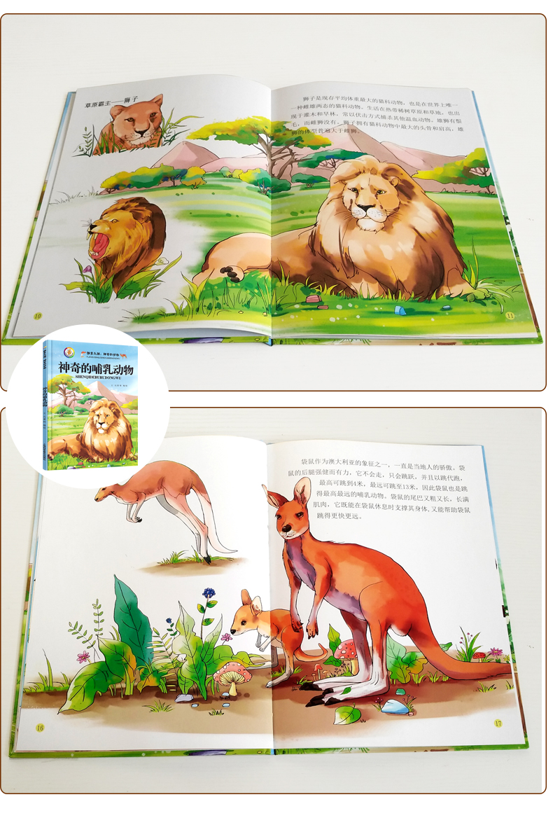 神奇的哺乳动物 动物世界大百科全书小学版彩图版 小学生科普童话故事