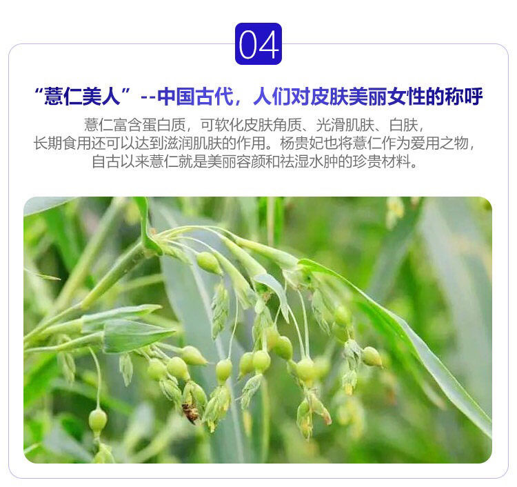 日本本土dhc薏仁丸薏米丸浓缩精华美白消水肿祛湿白皙润肤20日量日本