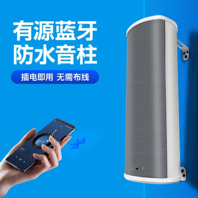 先科(SAST)W-801 户外蓝牙防水音柱 室外挂墙壁挂式音响功放喇叭套装音箱学校操场会议广播店铺音乐主机