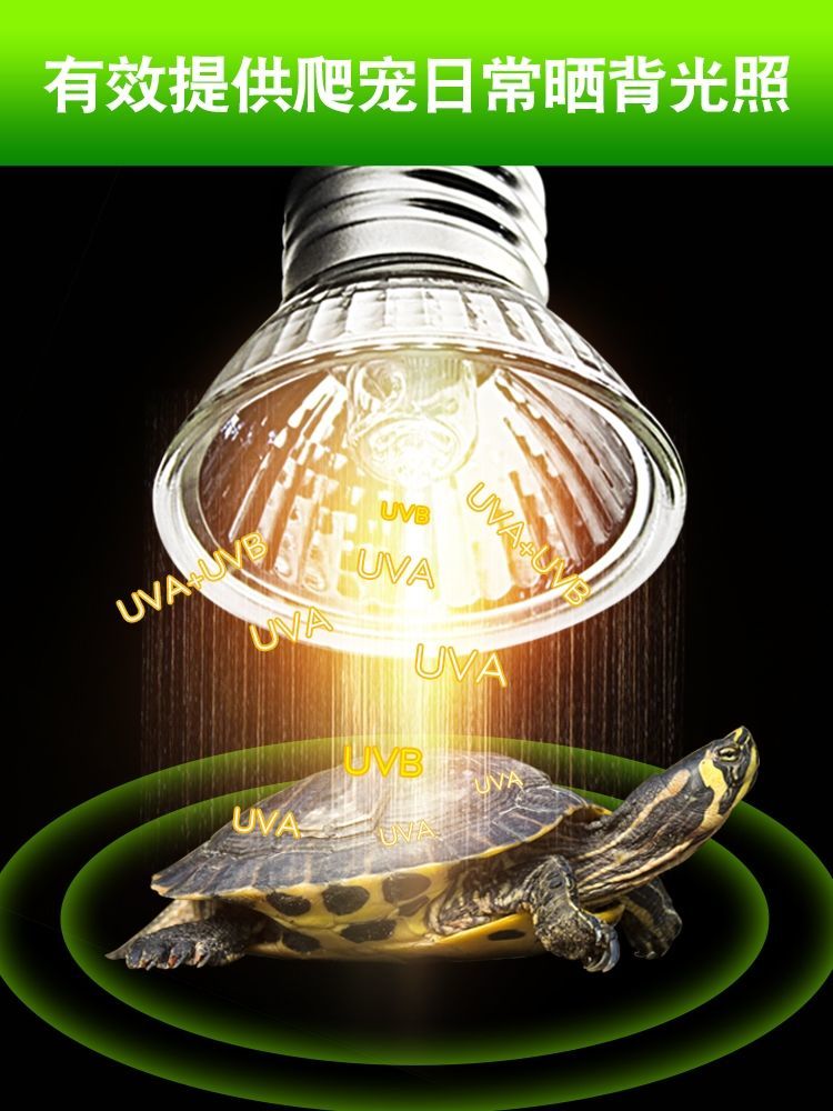 陶瓷加热灯爬宠爬虫加热灯保温夜灯陆龟蜥蜴守宫爬宠饲养箱保温箱全