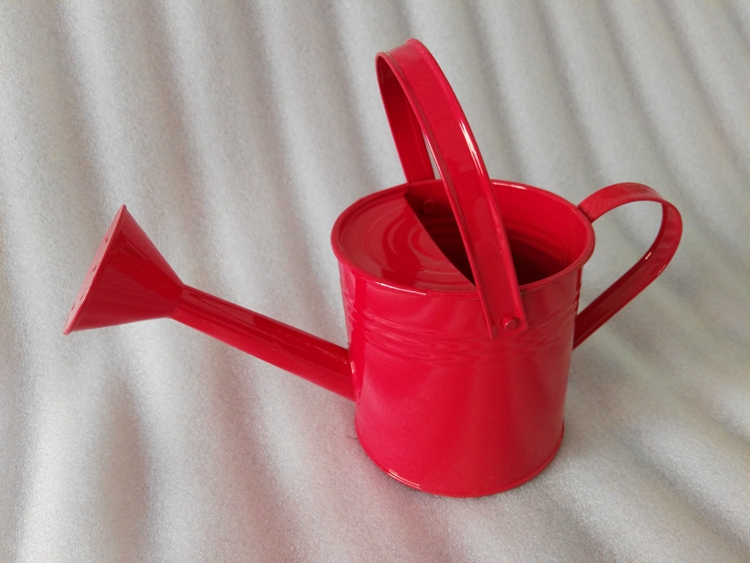 符象园艺用品 彩色铁皮花洒水壶浇水喷花桶拍摄道具园艺工具创意插花